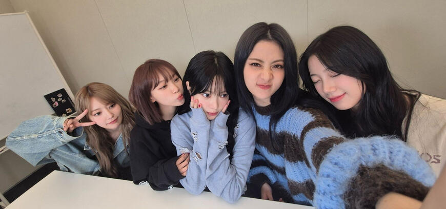 Picture of fimmies being cute at camera